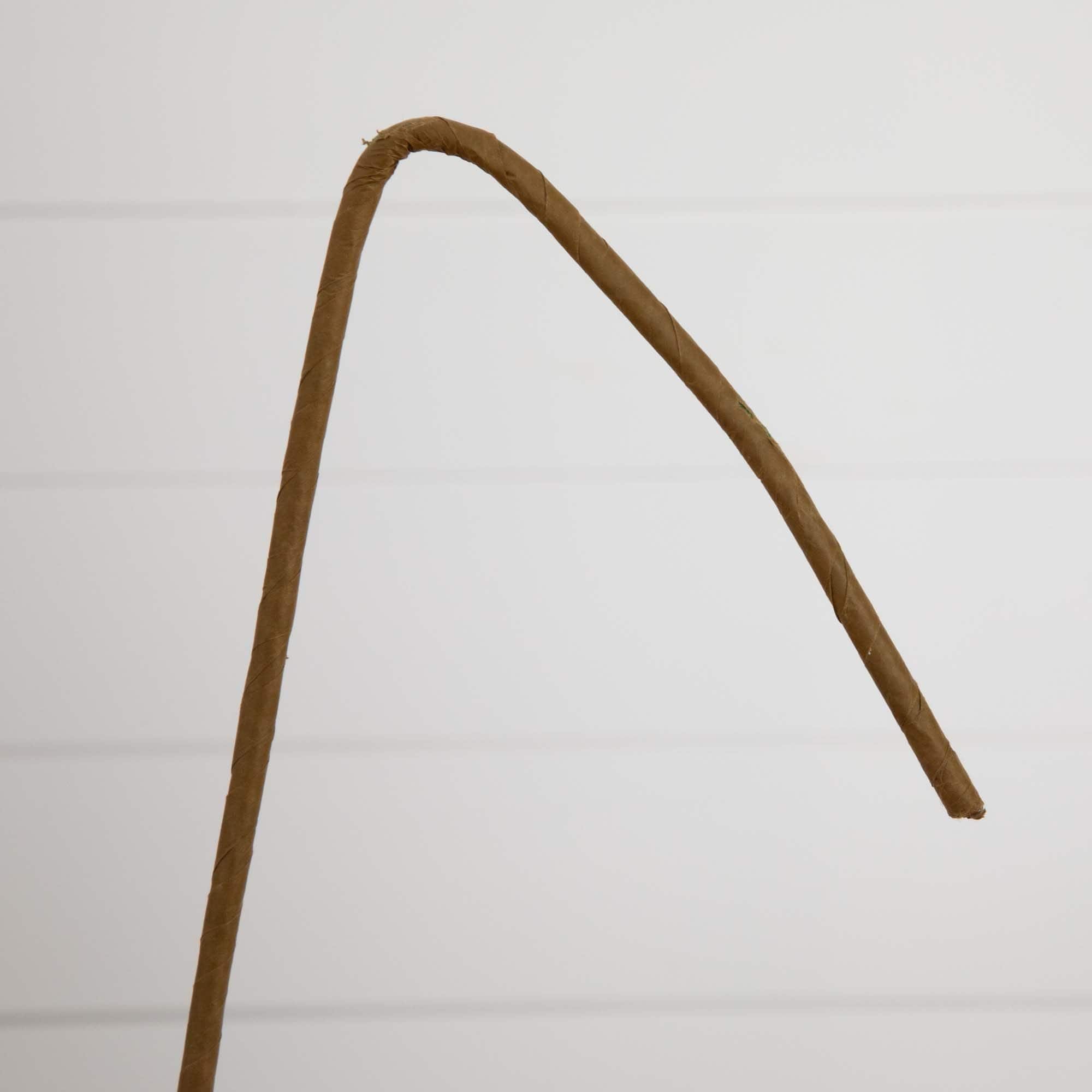 40" Green Eucalyptus Stems, 3ct.